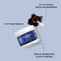 Vimergy Vitamins & Supplements Organic Wild Blueberry Powder
