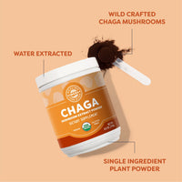 Organic Chaga Vimergy Supplements Vitamins 