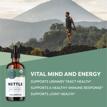 files/organic-nettle-10-1-vimergy-supplements-vitamins-36303357640874_5893fa04-84dc-439b-a7d2-b760b2a18f8f.jpg