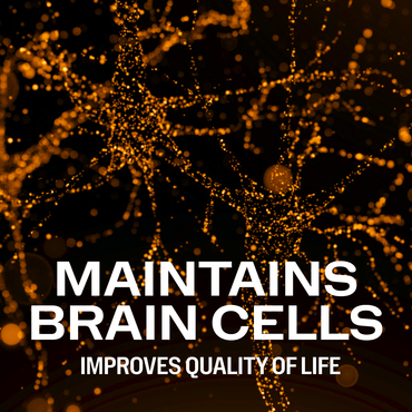 files/vimergy-brain-body-memory-vitamins-supplements-1176141934.png