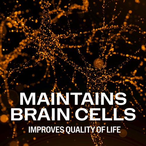 Vimergy UK Vitamins & Supplements Brain Body Memory*