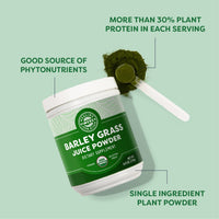 Vimergy Vitamins & Supplements Organic Barley Grass Juice Powder