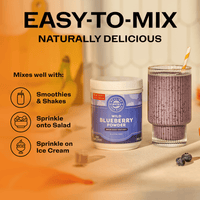 Vimergy Vitamins & Supplements Organic Wild Blueberry Powder