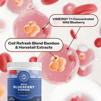 Vimergy Vitamins & Supplements Organic Wild Blueberry Powder