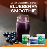 Vimergy Vitamins & Supplements Organic Wild Blueberry Powder