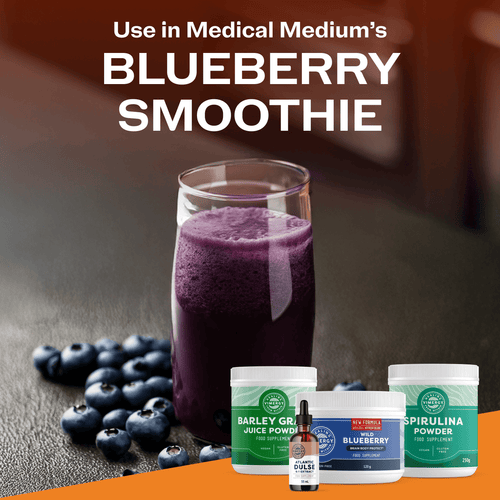 Vimergy Vitamins & Supplements Organic Wild Blueberry Powder